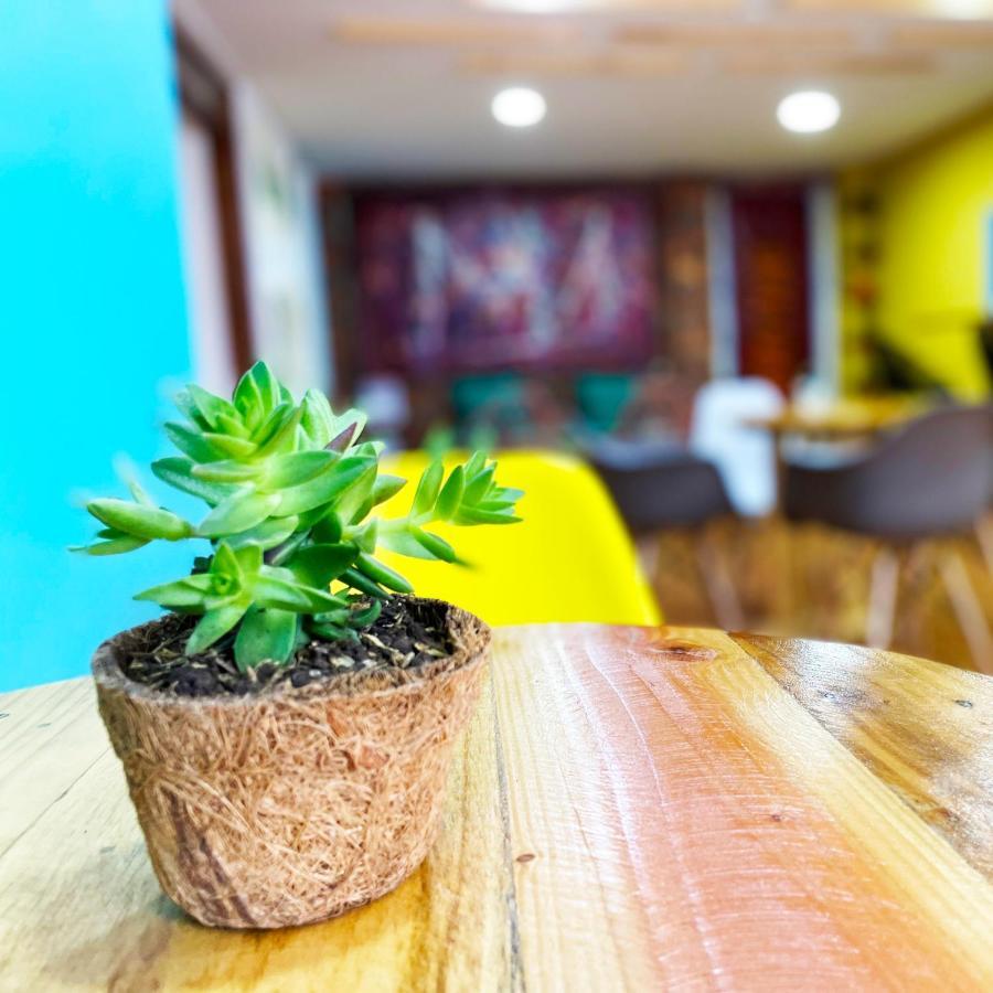 Hostal Macondo Bogotá Dış mekan fotoğraf